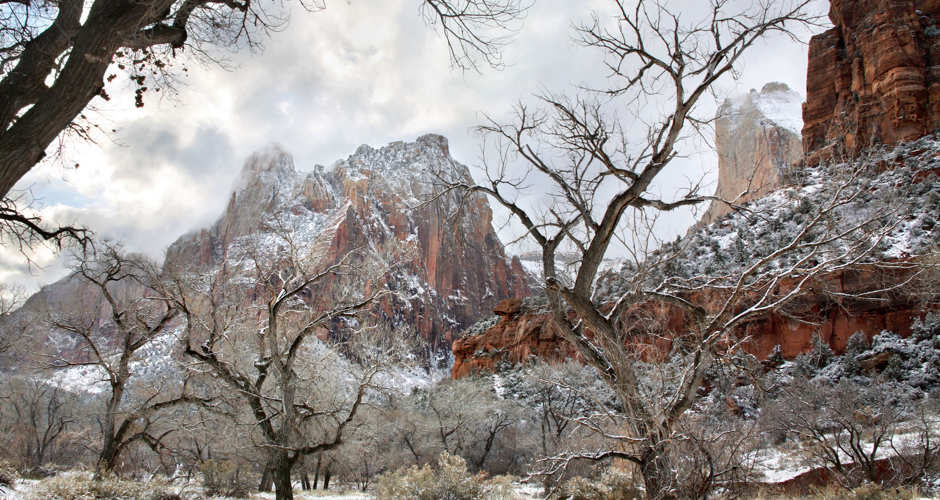 Featured image for “How to Visit Zion National Park During the Government Shutdown”